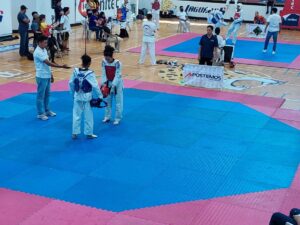 taekwondo apostemos 1