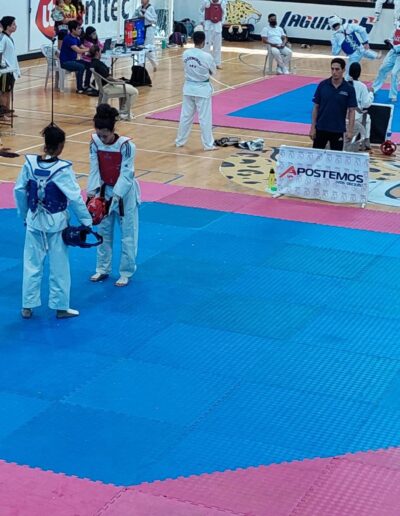 taekwondo apostemos 1