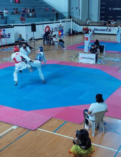 taekwondo apostemos 4