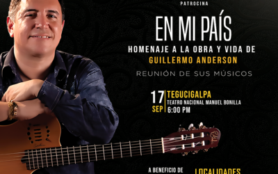 Bases y condiciones – Guillermo Anderson