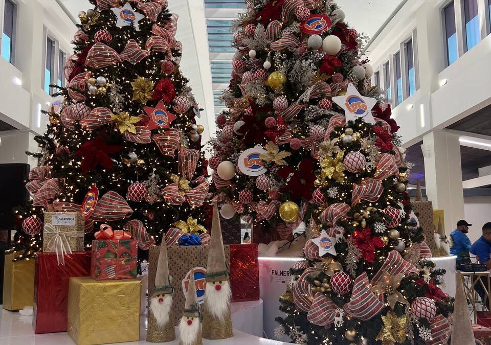 Loto y Palmerola se unen para encender la  Navidad de los viajeros